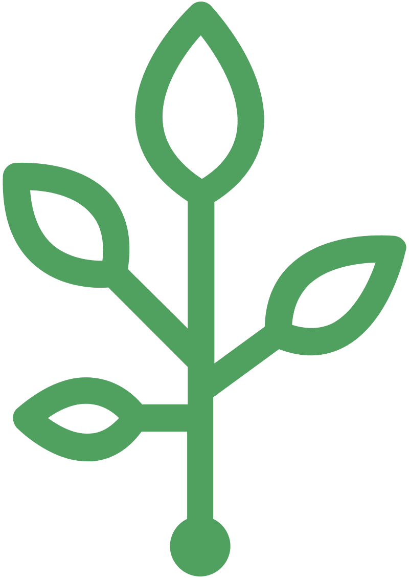 Veterans Grow
